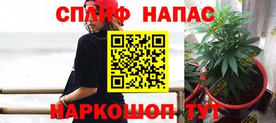 ECSTASY Апшеронск